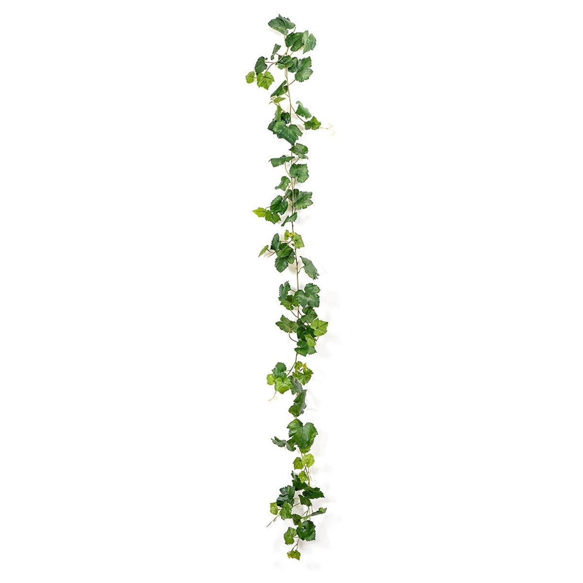Grape Ivy Vine Green 230 cm - NOVA LIGNUM