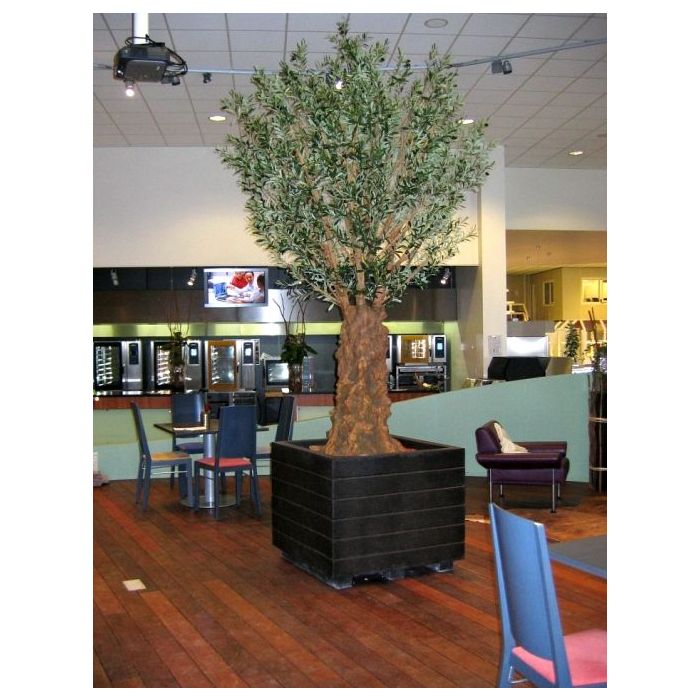 Olijf deluxe kunstboom 290cm - afbeelding 2