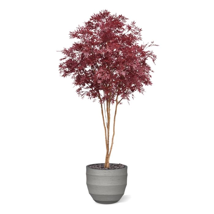 Japanse Acer Kunstboom Deluxe 325cm Burgundy - NOVA LIGNUM
