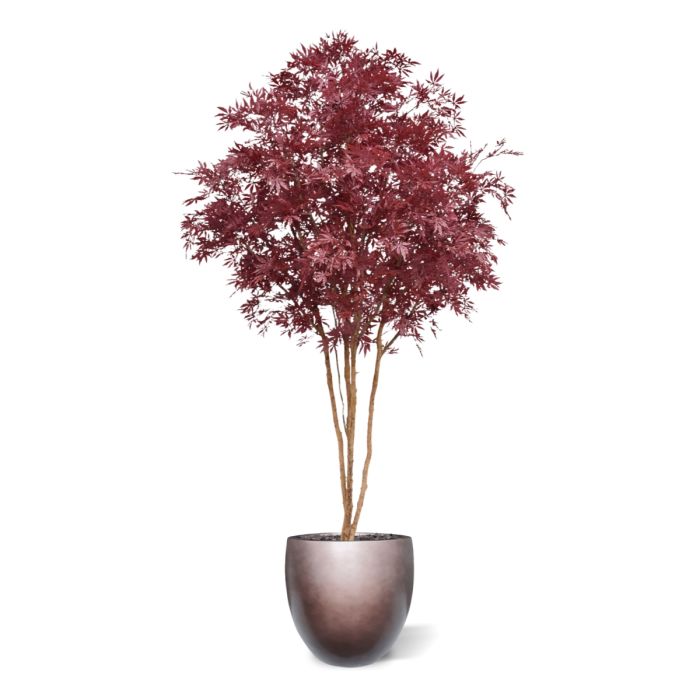 Japanse Acer Kunstboom Deluxe 325cm Burgundy - NOVA LIGNUM