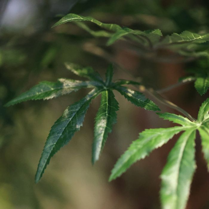 Japanse Acer Kunstboom Deluxe 325cm groen - NOVA LIGNUM