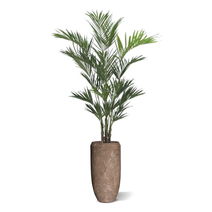 Kentia deluxe kunstpalm XL 260cm - NOVA LIGNUM