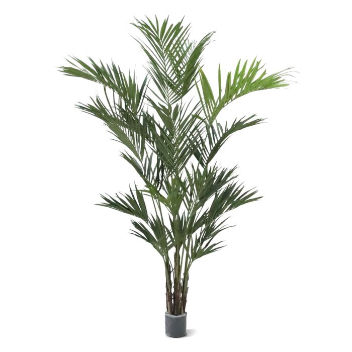 Kentia deluxe kunstpalm XL 260cm - NOVA LIGNUM