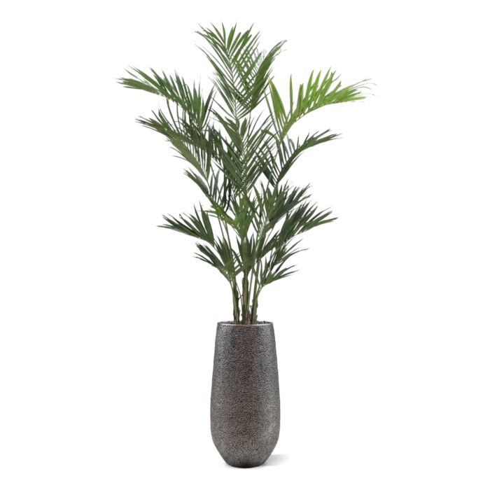 Kentia deluxe kunstpalm XL 260cm - NOVA LIGNUM