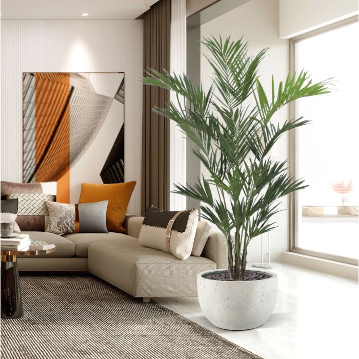 Kentia deluxe kunstpalm XL 260cm - NOVA LIGNUM