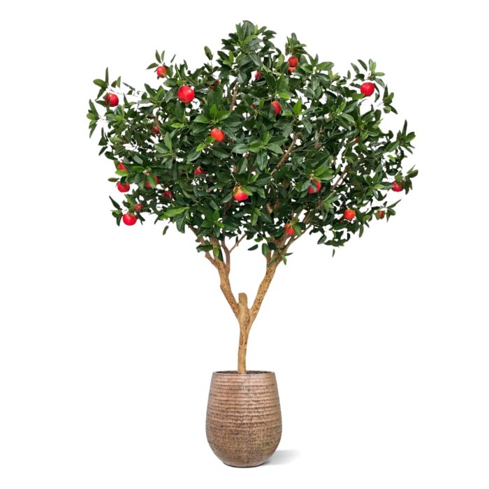 Kunst Appelboom Deluxe XL 280cm - NOVA LIGNUM