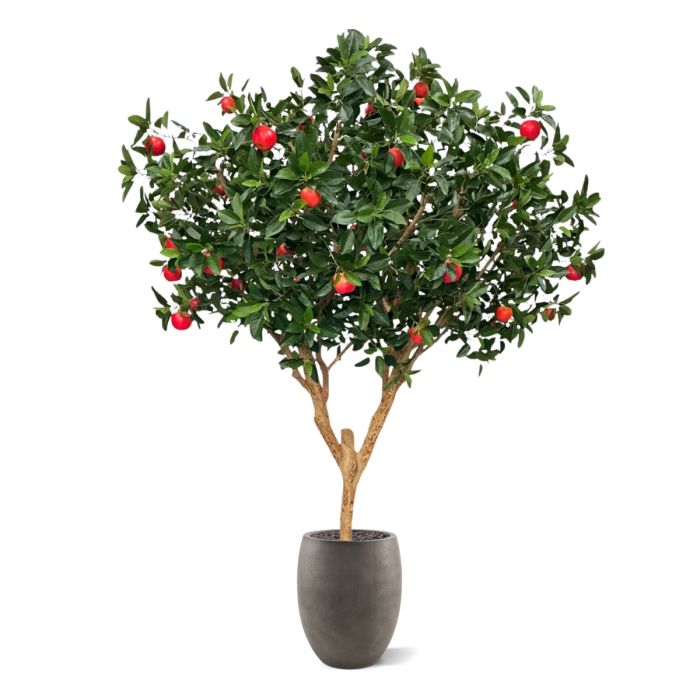 Kunst Appelboom Deluxe XL 280cm - NOVA LIGNUM