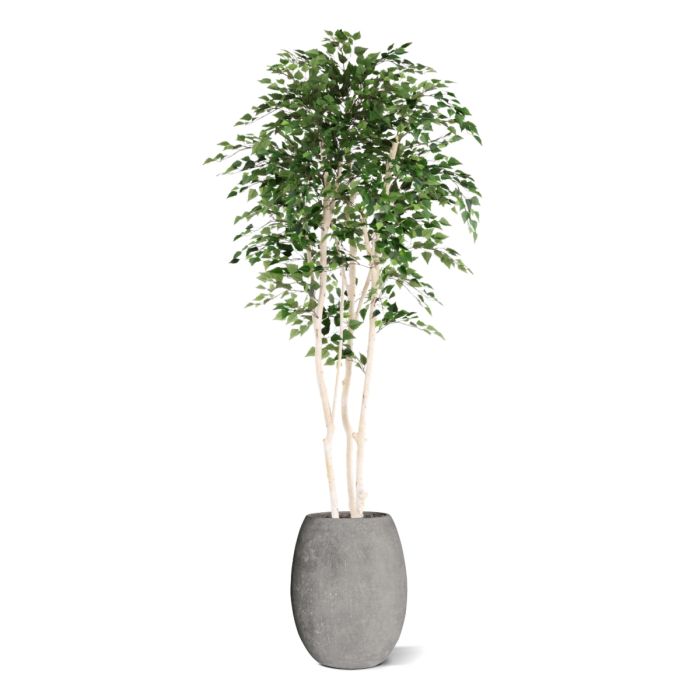 Kunst Berkenboom 250cm Deluxe - NOVA LIGNUM