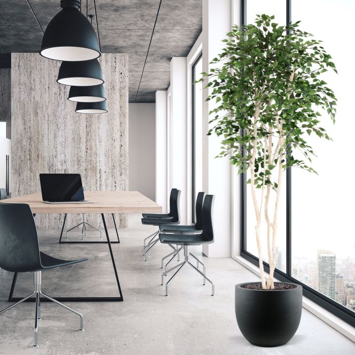 Kunst Berkenboom 250cm Deluxe - NOVA LIGNUM