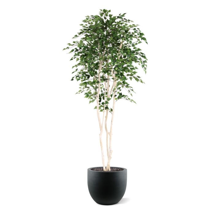 Kunst Berkenboom 250cm Deluxe - NOVA LIGNUM