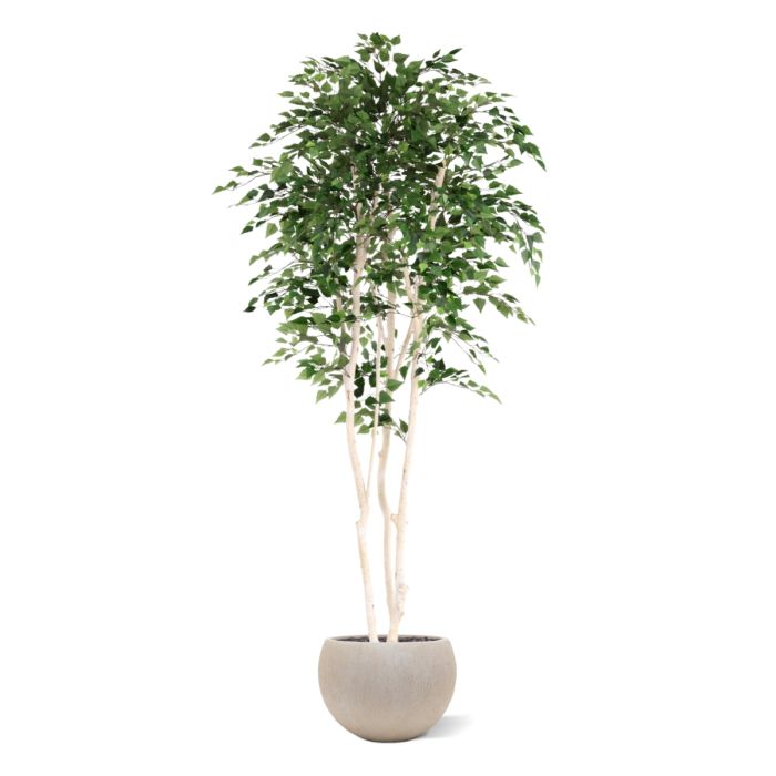 Kunst Berkenboom 250cm Deluxe - NOVA LIGNUM