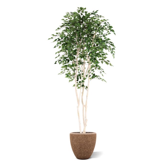 Kunst Berkenboom 250cm Deluxe - NOVA LIGNUM