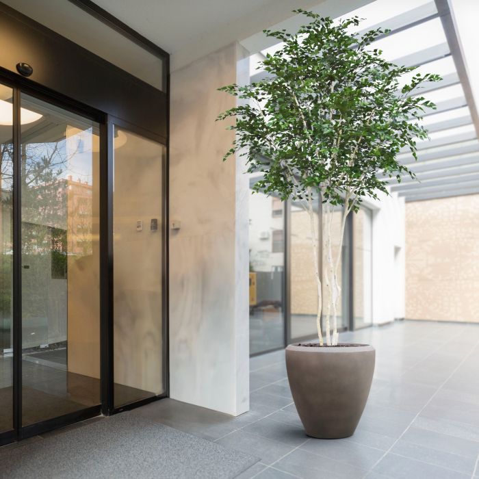Kunst Berkenboom XXL 350cm Deluxe - NOVA LIGNUM