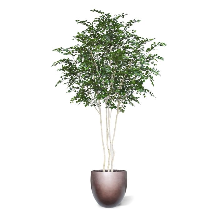 Kunst Berkenboom XXL 350cm Deluxe - NOVA LIGNUM