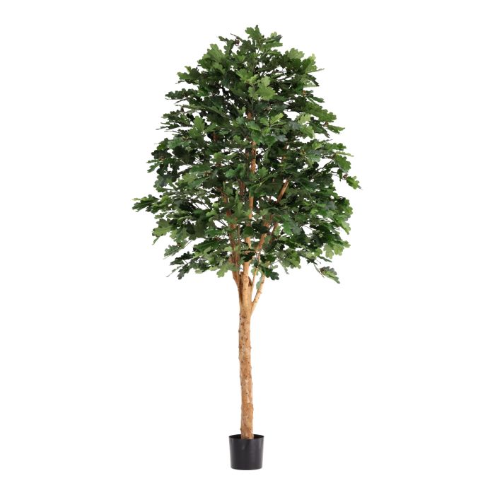 Kunst Eikenboom Deluxe 250cm - NOVA LIGNUM