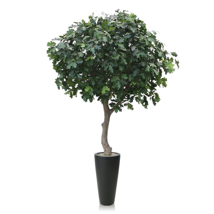Kunst Eikenboom Giant deluxe 300cm - NOVA LIGNUM