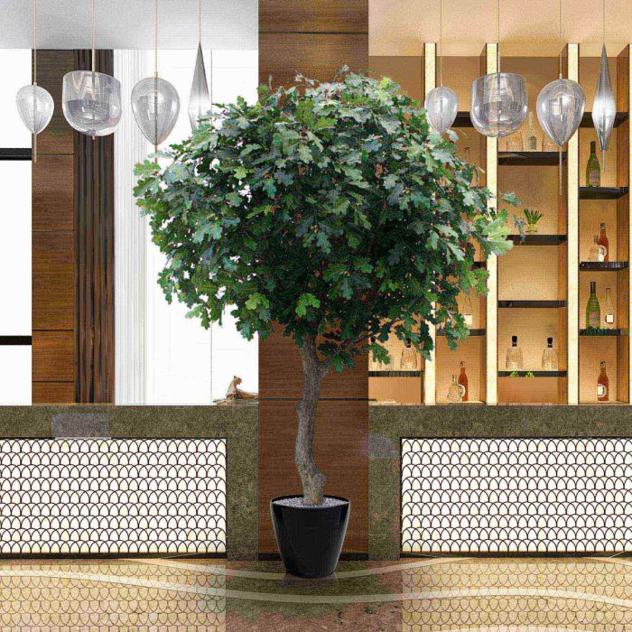 Kunst Eikenboom Giant deluxe 300cm - NOVA LIGNUM