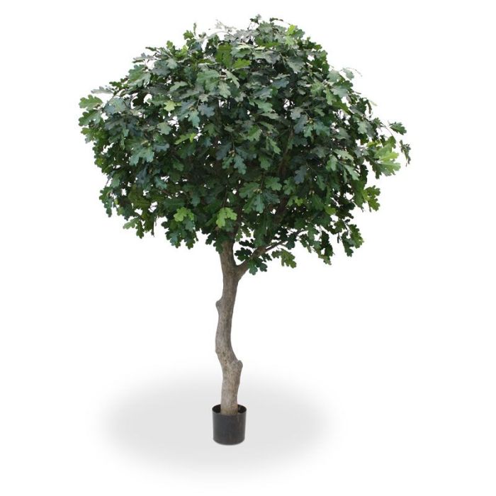 Kunst Eikenboom Giant deluxe 300cm - NOVA LIGNUM