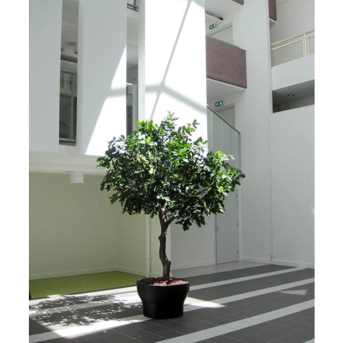 Kunst Eikenboom Giant deluxe 300cm - NOVA LIGNUM