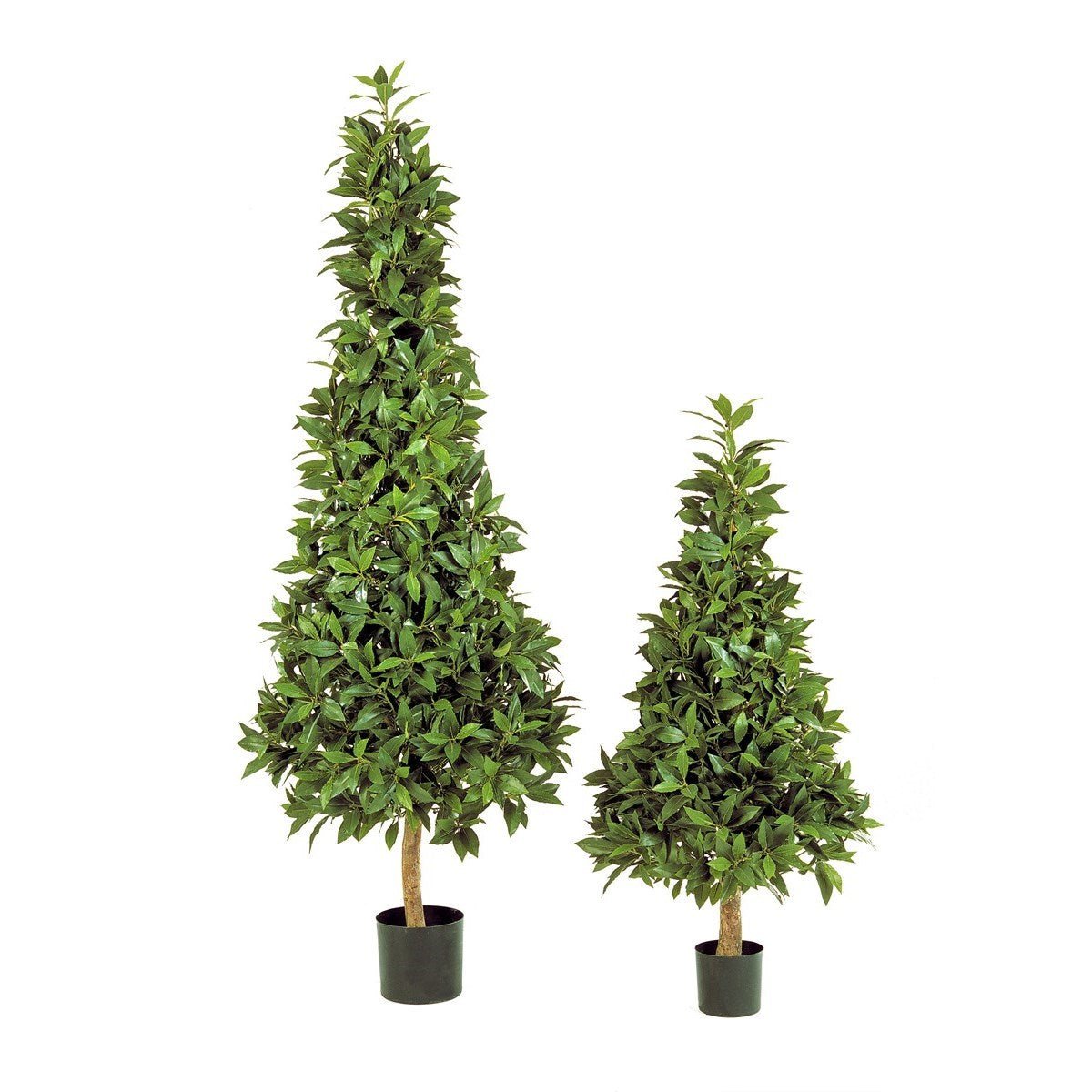 LAUREL PYRAMIDE DE LUXE 50206N - NOVA LIGNUM