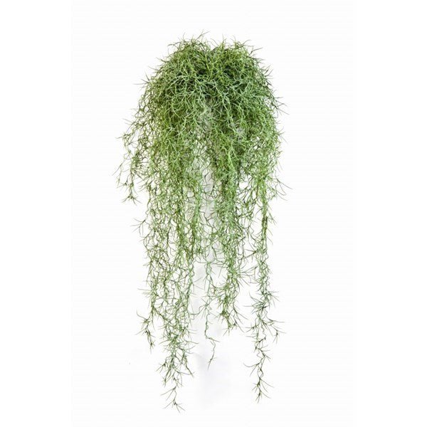 Long Hair Bush Green - NOVA LIGNUM