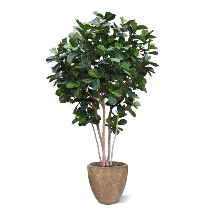 Lyrata Giant Kunstboom Deluxe 420cm - NOVA LIGNUM