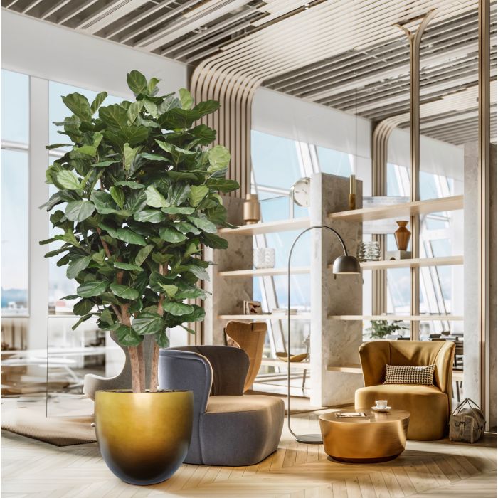 Lyrata Kolom Giant Kunstboom Deluxe 300cm - NOVA LIGNUM