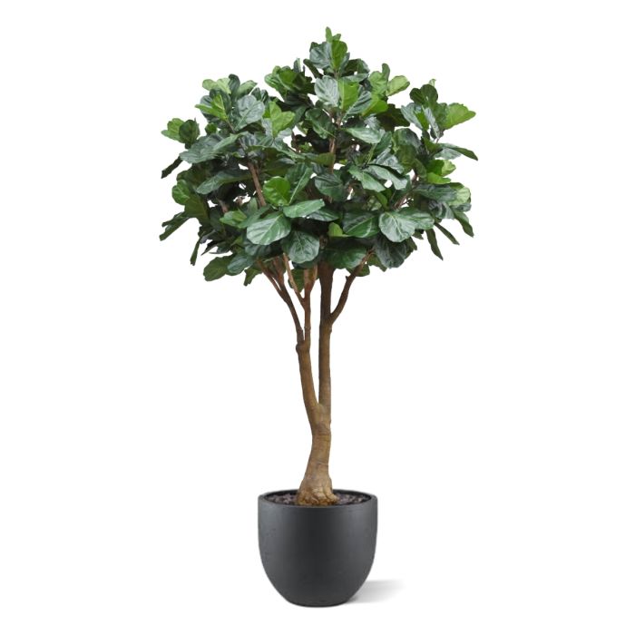 Lyrata Kunstboom Deluxe XXL 350cm - afbeelding 6
