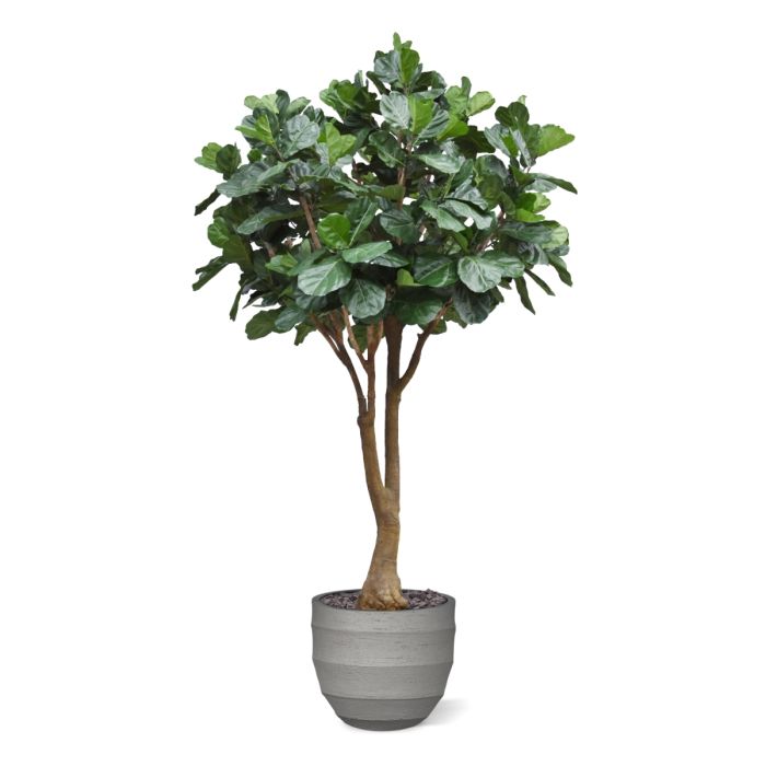 Lyrata Kunstboom Deluxe XXL 350cm - afbeelding 9