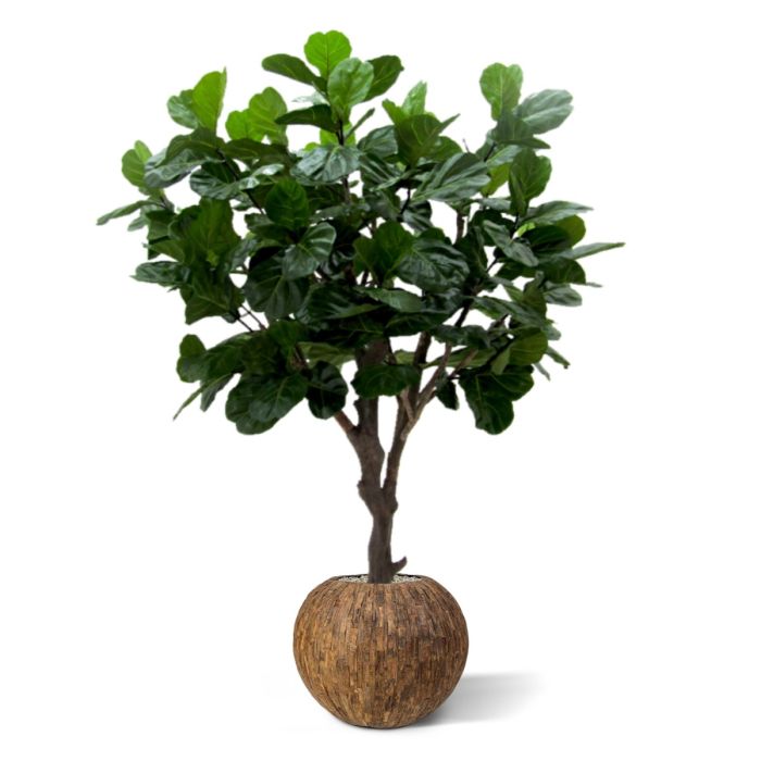 Lyrata Giant deluxe kunstboom 260cm - afbeelding 3