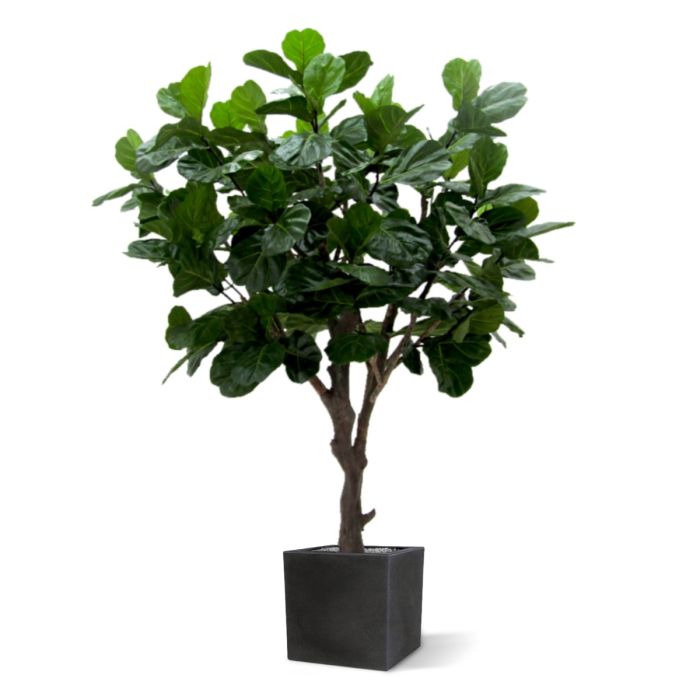 Lyrata Giant deluxe kunstboom 260cm - afbeelding 5
