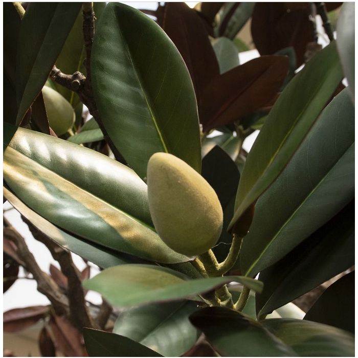 Magnolia kunstboom 300cm - NOVA LIGNUM