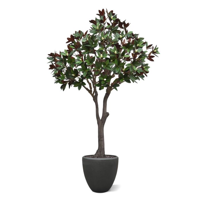 Magnolia kunstboom 300cm - NOVA LIGNUM