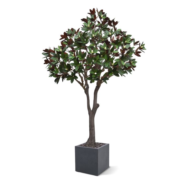 Magnolia kunstboom 300cm - NOVA LIGNUM