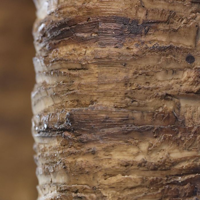 Majesty Giant kunstpalm 350cm - NOVA LIGNUM