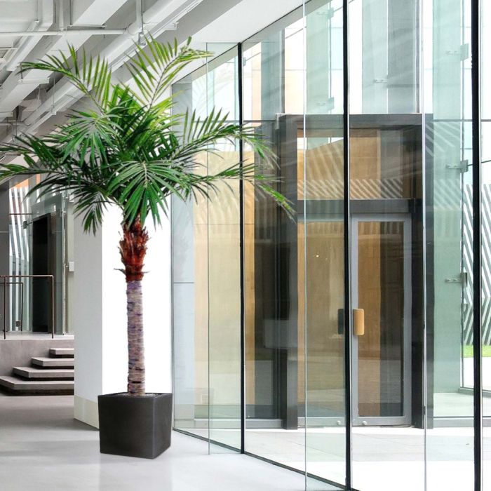 Majesty Giant kunstpalm 350cm - NOVA LIGNUM