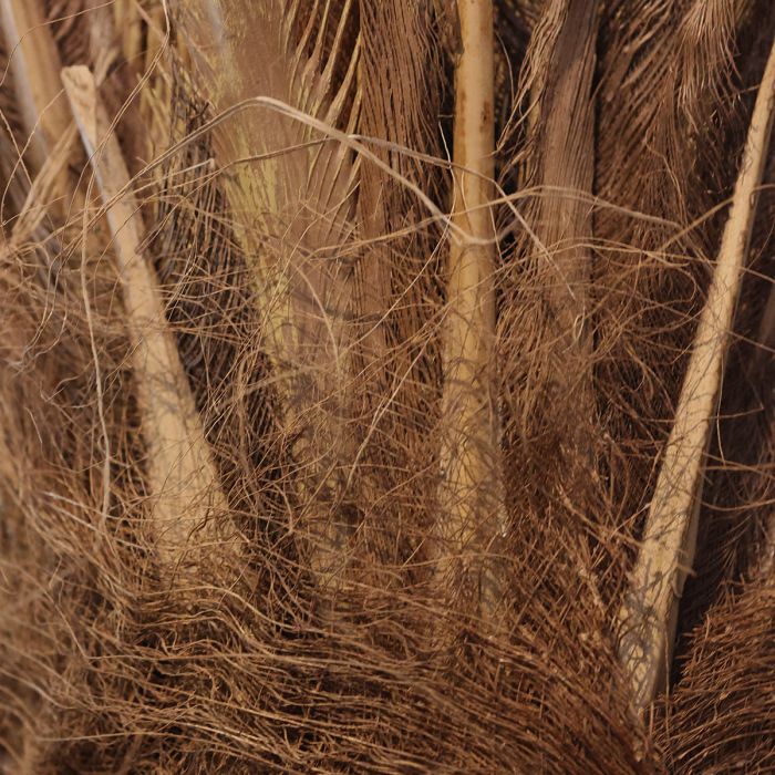 Majesty Giant kunstpalm 350cm - NOVA LIGNUM