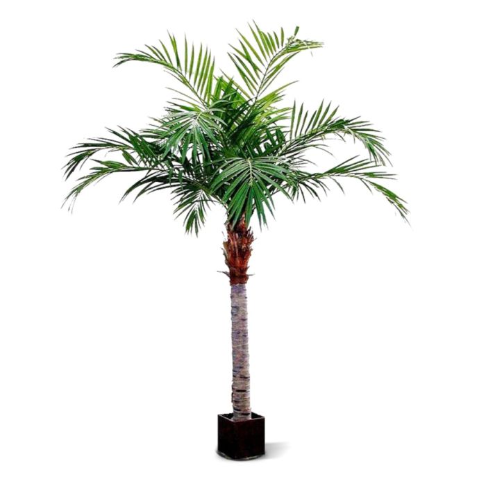 Majesty Giant kunstpalm 350cm - NOVA LIGNUM