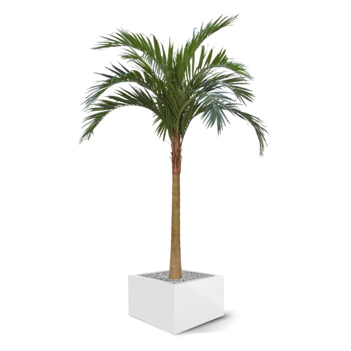 Majesty kunstpalm x10 YG-Trunk 300cm - afbeelding 5