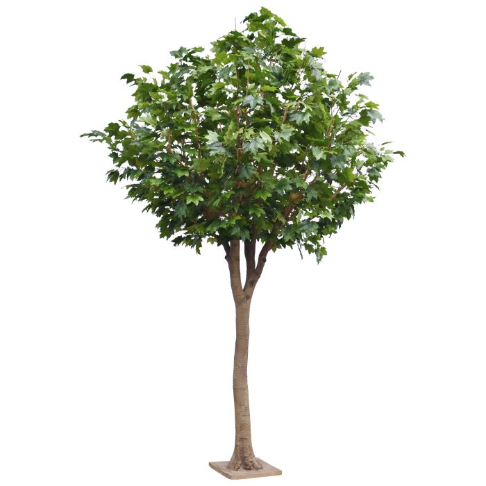 Maple Kunstboom Deluxe XXL 375cm op stam - NOVA LIGNUM