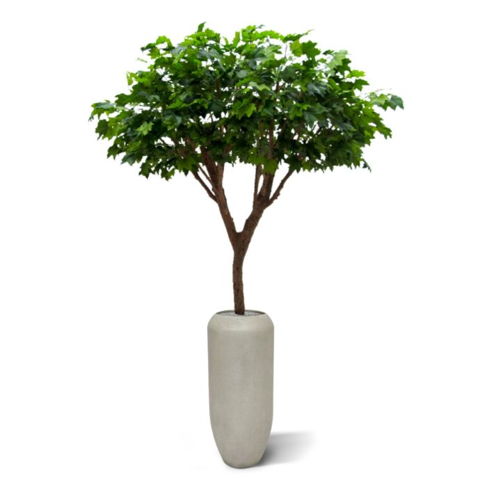 Maple deluxe kunstboom 240cm - FR - brandvertragend - afbeelding 4