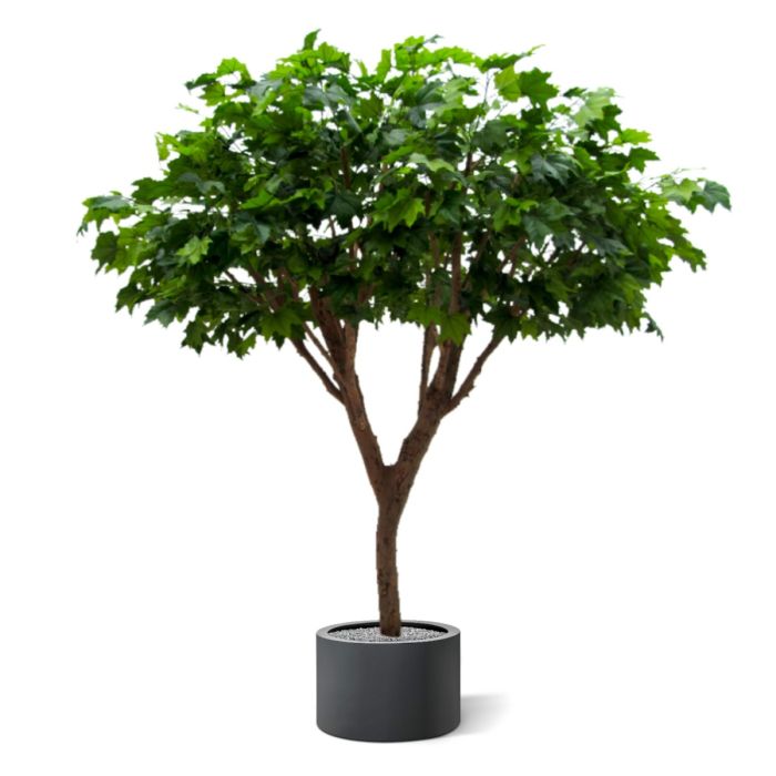 Maple deluxe kunstboom 240cm - afbeelding 4