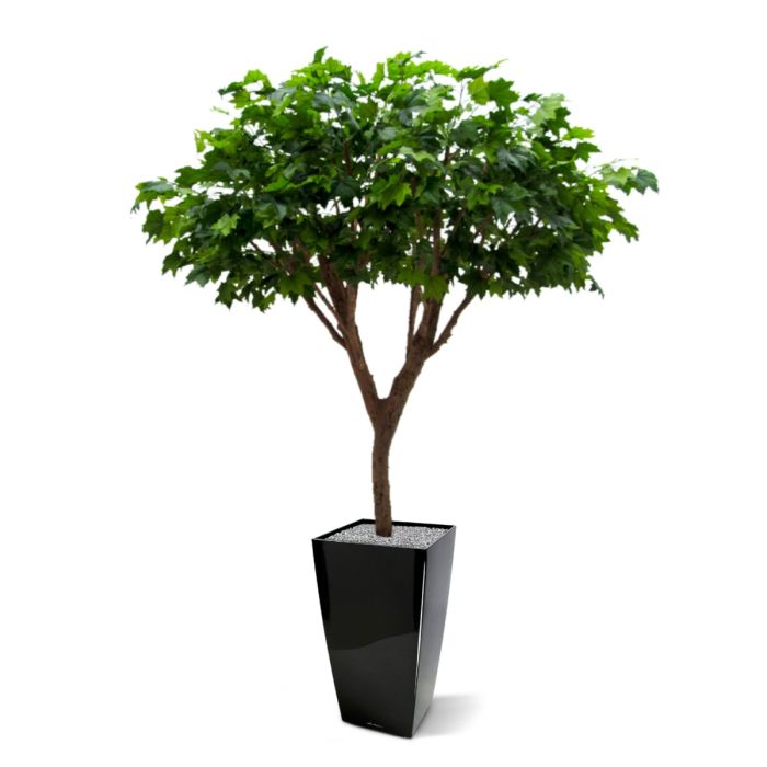 Maple deluxe kunstboom 240cm - FR - brandvertragend - afbeelding 6