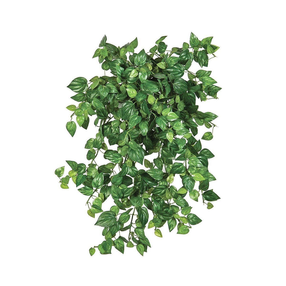 Mini Philodendron x 560 - NOVA LIGNUM