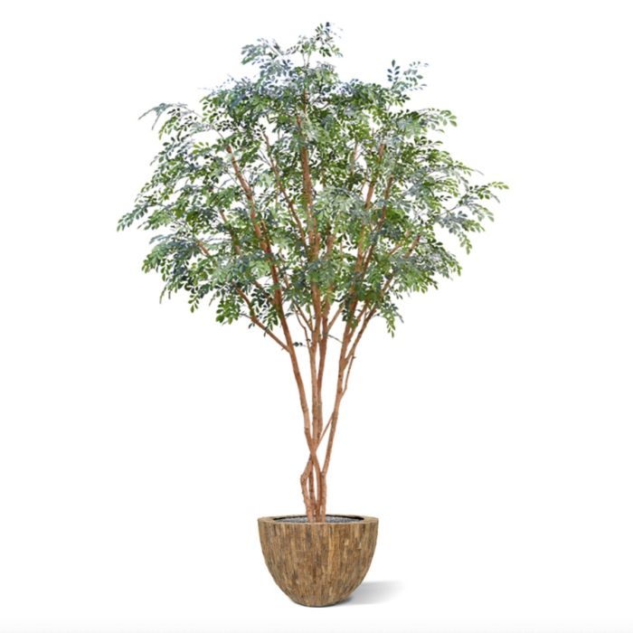 Murraya kunstboom deluxe XL 325cm