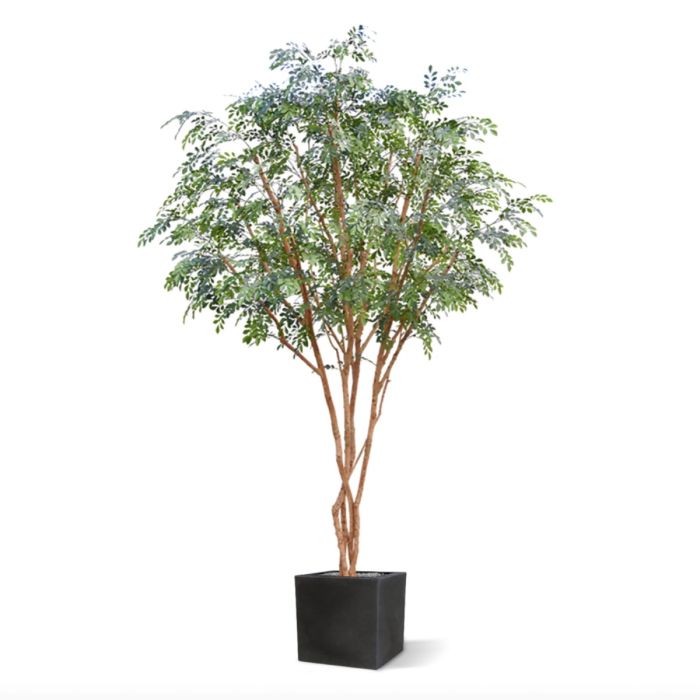 Murraya kunstboom deluxe XL 325cm - afbeelding 5