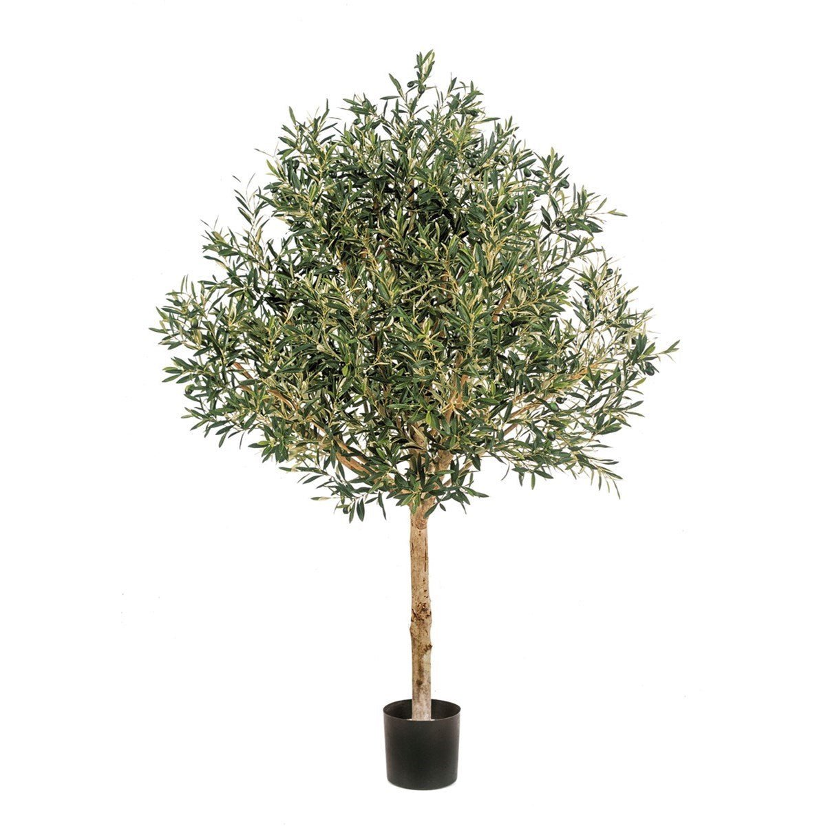 NATURAL OLIVE TOPIARY TREE WITH FRUITS - NOVA LIGNUM