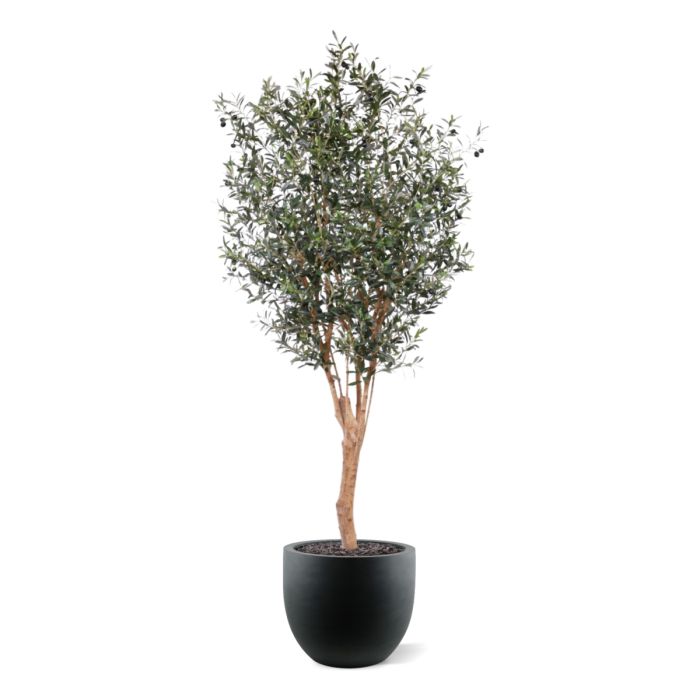 Olijf Deluxe kunstboom 250cm - NOVA LIGNUM