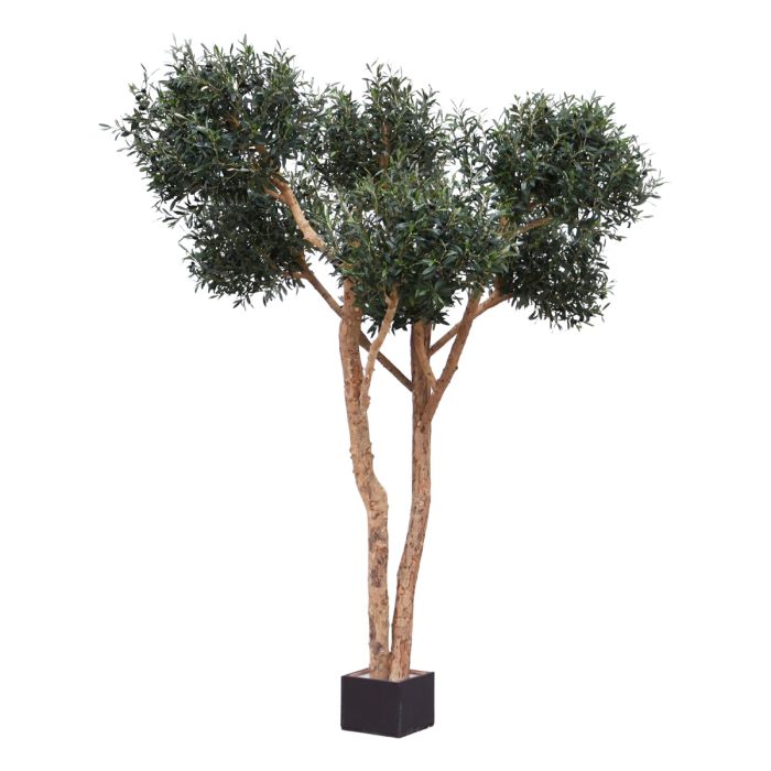 Olijf kunst Bonsai boom Deluxe 250cm - NOVA LIGNUM