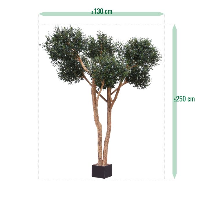 Olijf kunst Bonsai boom Deluxe 250cm - NOVA LIGNUM
